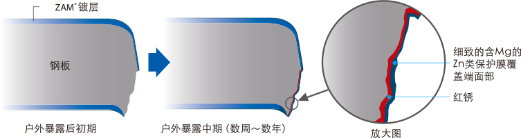 剪切断面部