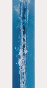 100h　ZAM ®