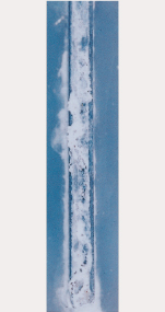 1000h　ZAM ®
