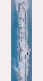 5000h　ZAM ®