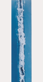 100h后的 热浸镀Zn-5%Al合金