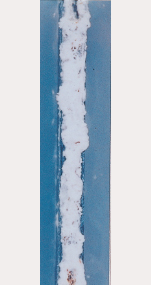 1000h后的 热浸镀Zn-5%Al合金