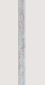 2周后 ZAM ®