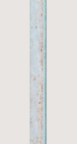六个月后 ZAM ®