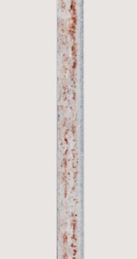 2周后 热浸镀Zn-5%Al合金