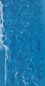 500h ZAM ®