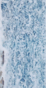 1200h ZAM ®