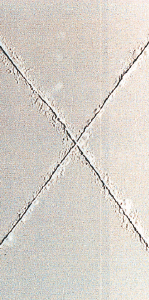 CCT 62次循环