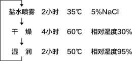 试验条件