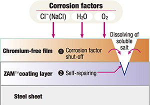 Mechanism of corrosion control by chromium-free film