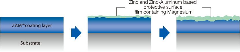 ZAM™