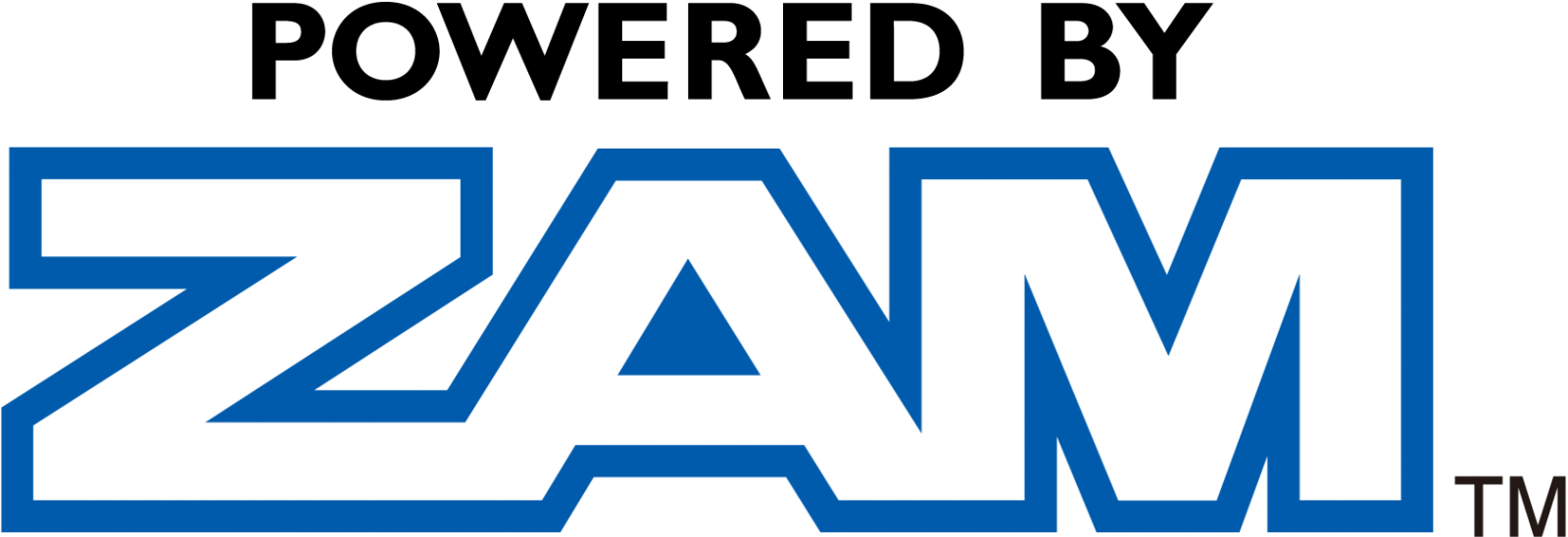 ZAM campaign logo: blue type