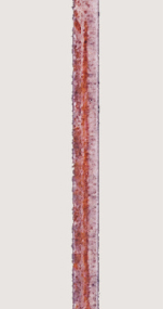 After 2 weeks 55% Al-Zn alloy coated steel