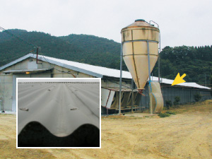 鶏舎屋根