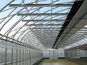 農業ハウス（超低コスト耐候性ハウス）
