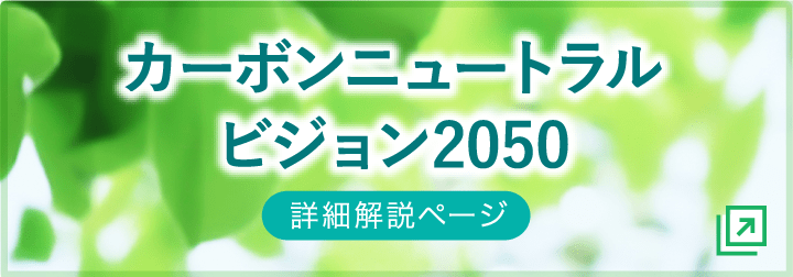 カーボンニュートラルビジョン2050