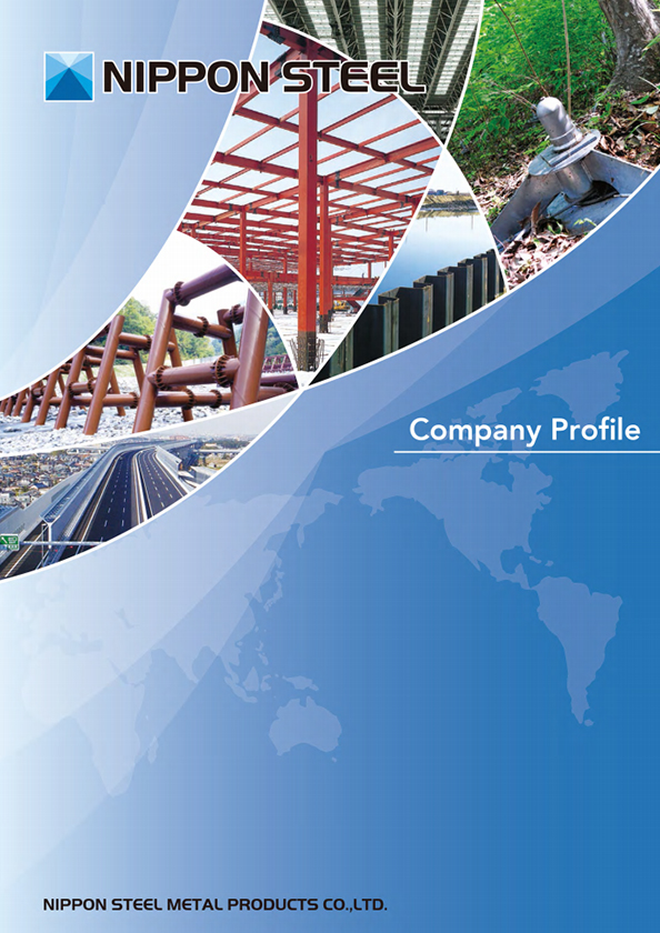 NSMP / Company profile