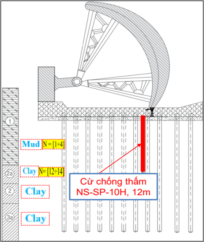 MẶT CẮT NGANG