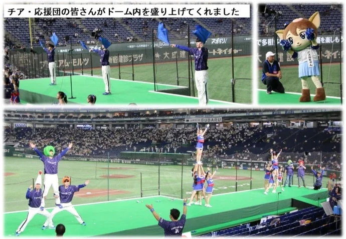 チア・応援団の皆さんがドーム内を盛り上げてくれました