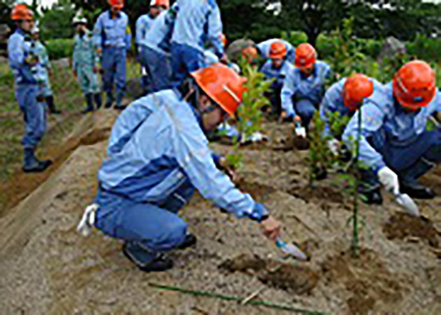 植樹活動（敷地内の緑地活動）