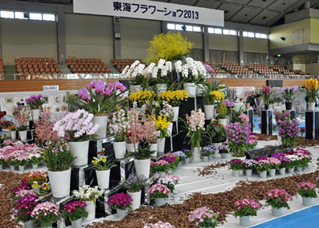 メインブースに飾られた色とりどりの洋ランや花々