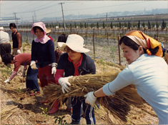 太田川沿い緑化マウンドに植樹する社員や家族